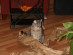 View full size picture