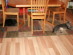 View full size picture