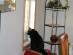 View full size picture