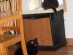 View full size picture