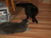 View full size picture