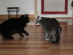 View full size picture