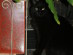 View full size picture