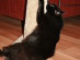 View full size picture