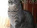 View full size picture