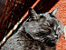 View full size picture