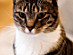 View full size picture