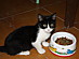 View full size picture