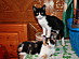 View full size picture