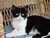 View full size picture