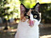 View full size picture