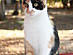 View full size picture