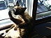 View full size picture