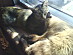 View full size picture