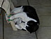 View full size picture