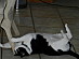 View full size picture