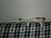 View full size picture