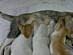 View full size picture