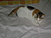 View full size picture