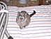 View full size picture