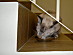 View full size picture