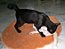 View full size picture