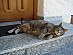 View full size picture