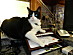 View full size picture