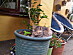 View full size picture
