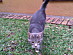 View full size picture