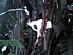 View full size picture