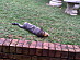 View full size picture