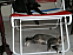 View full size picture
