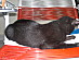 View full size picture