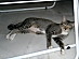 View full size picture