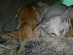 View full size picture