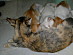 View full size picture