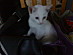 View full size picture