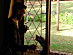 View full size picture