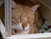 View full size picture