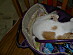 View full size picture