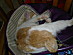 View full size picture