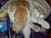 View full size picture