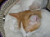 View full size picture