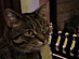 View full size picture