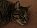 View full size picture