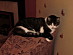 View full size picture