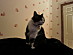 View full size picture