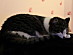 View full size picture