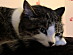 View full size picture
